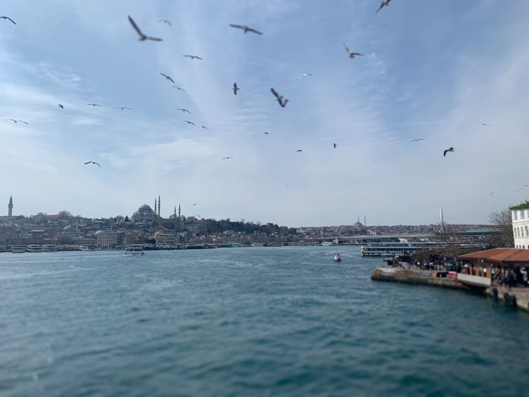 The Story of My Emergency Relocation — Istanbul (Part 4)